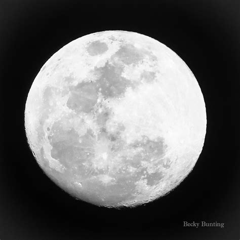 moon   photograph  becky bunting fine art america