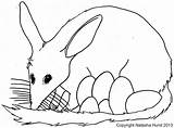 Australian Bilby Easter Template Coloring Colouring Pages Animals Clipart Animal Happy Templates Craft Au Australia Sheets Card Anzac Egg Choose sketch template