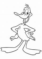 Duck Coloring Tunes Looney Duffy Daffy Pages Game Cartoon Happy Print Netart Disney sketch template