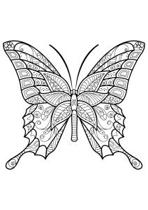 butterflys butterflies insects adult coloring pages
