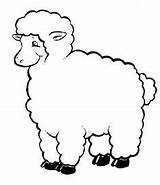 Chop Lamb sketch template