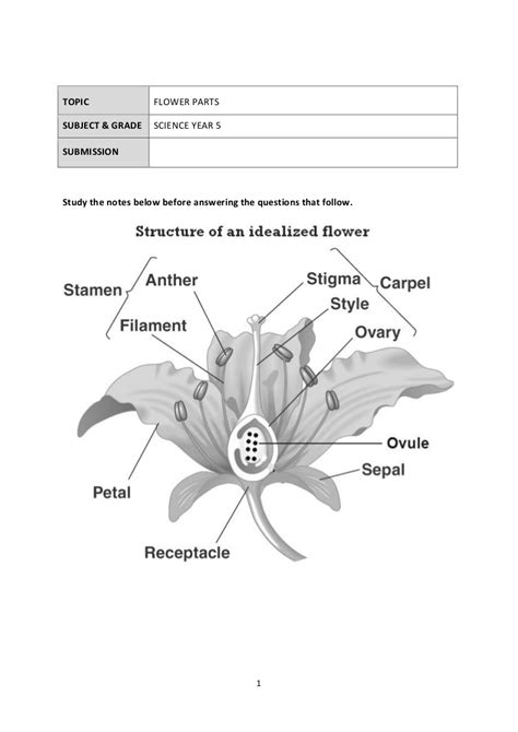 parts   flower worksheet answers