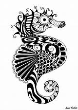 Zentangle Coloring Sea Horse Adult Pages Printable Simple Style Worlds Water Color sketch template