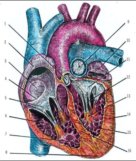 goodson blogson  research guide  health law