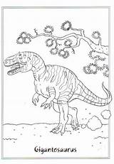Gigantosaurus Dinosauri Kleurplaten Dinosaurus Ausmalbilder Kleurplaat Coloriage Dinosaurier Dinosaure Rex Dinosaurussen Coloriages Facile Dinosauro Druku Jurassic Ausmalbild Malvorlage Stampare Kolorowanki sketch template