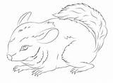 Coloring Pages Chinchilla Chinchillas Cute Tailed Long Drawing Color Categories Getcolorings Kids Printable sketch template