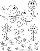 Wiese Malvorlage Kleine Blume Malvorlagen Voegel sketch template