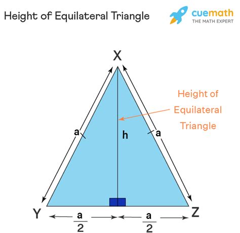 height  equilateral triangle formula method faqs