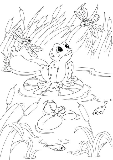 pond ecosystem coloring page coloring pages