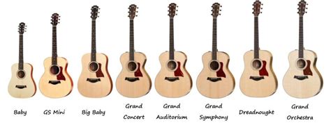 taylor guitars categorized  shape