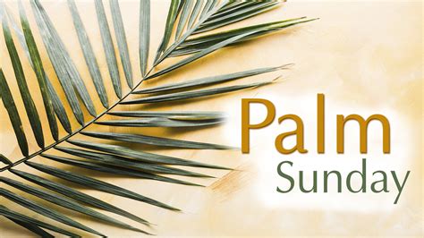 palm sunday worship arcola united methodist church