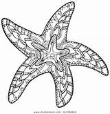 Starfish Shutterstock Vector Sketch Zentangle Stock Ocean Coloring sketch template