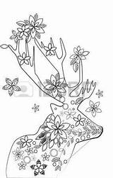 Tribal Coloring Caves Designlooter Deer Monochrome Elements Floral Illustration Vector Adult Book sketch template