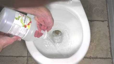 remove hard water stains   toilet bowl