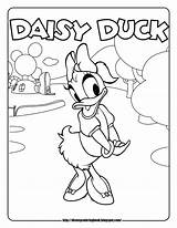 Daisy Minnie Coloring Pages Mouse Bow Getcolorings Printable Toons sketch template