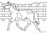 Coloring Horses Jumping Cool2bkids sketch template