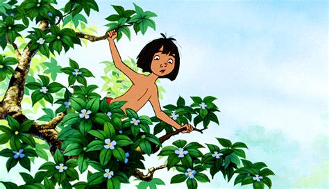 dreams  true disney daily im mowgli