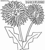 Dandelion Coloring Pages Colorings Flowers Print 1000px 23kb sketch template