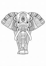 Elephant Elefantes Erwachsene Elefanti Elefanten Mandala Malbuch Adulti Elephants Elefante Bojanka Adults Mandalas Bojanke Patterns Odrasle Bojanje Elefant Coloriage Ausmalbild sketch template