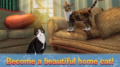 home cat survival simulator 3d Домашний симулятор