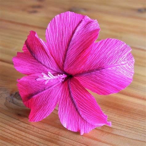 crepe paper flowers hibiscus template   ta muchly