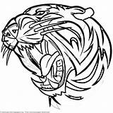 Tiger Roaring Sabertooth sketch template