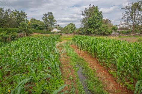 land  sale  ridgeways lane ridgeways hub knight frank