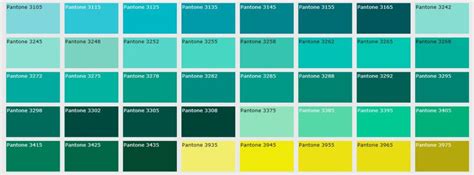 pantone color chart  chat media