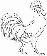 Rooster Coloring Pages Kids Drawing Designlooter Children Year Printable 17kb 1024 Getcolorings Getdrawings Library Clipart sketch template