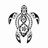 Maori Turtle Tattoo Designs Petpress Meanings sketch template