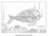 Whale Shutterstock sketch template