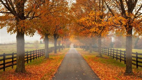 63 Fall Season Quotes Best Sayings About Autumn