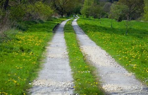 country road photopublicdomaincom