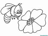 Abeille Bumble Mewarnai Lebah Abelha Buku Bees Realistic Abeilles Ruche Colorier Coloriages Flower sketch template