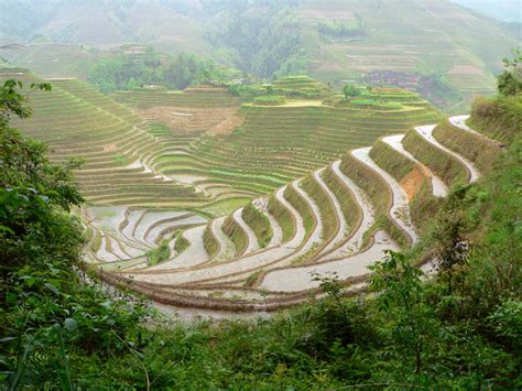 Facile da indossare, non è necessario legarla o allentarla. Viaggio in Cina a Guilin e Longsheng. Le risaie a terrazze di Longji