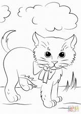Coloring Pages Tie Kitten Bow Dye Cute Color Getcolorings Printable sketch template