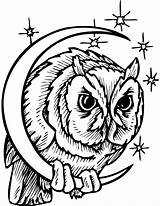 Eule Eulen Mond Ausmalbilder Sterne Owls Sowa Malvorlagen Halbmond Clipartbest Tiere Midnight Scribblefun Designlooter Drukuj sketch template