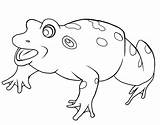 Bullfrog Designlooter Frog sketch template