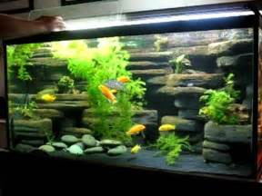 DIY aquarium background 90 gallon made from styrofoam and cement 