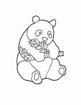 Ursos Pandas Getcolorings Ursinhos Mania Marcadores Compartilhar Coloringpagesfortoddlers sketch template