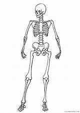 Skeleton Coloring Pages Coloring4free Human Related Posts sketch template