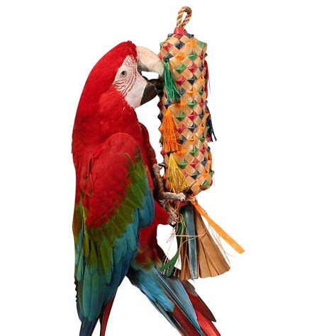 buy coloured pinata spiked large parrot toy  parrot essentials