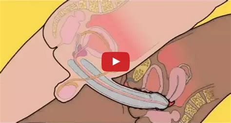 how to insert penis mega dildo insertion