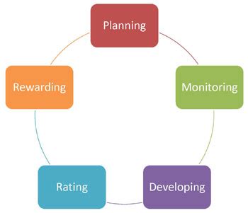 performance management cycle