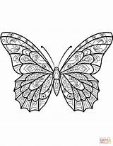 Coloring Zentangle Butterfly Pages Printable sketch template