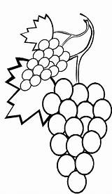 Grapes Coloring Pages Stalk Vine Mewarnai Without Clipart Drawing Cliparts Color Gambar Buah Fruits Colour Anggur Corn Buahan Clip Untuk sketch template