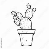 Cactus Templates sketch template