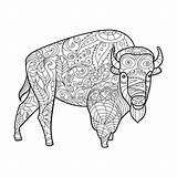 Bison Vector Adults Coloring Animal Book Illustration Adult sketch template