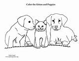 Kitten Puppies Coloring sketch template