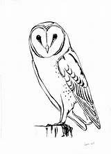 Owl Barn Clipart Coloring Pages Drawing Designlooter Line Choose Board 62kb sketch template